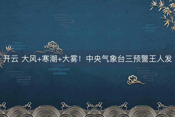 开云 大风+寒潮+大雾！中央气象台三预警王人发