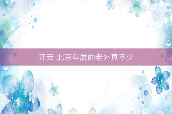 开云 北京车展的老外真不少