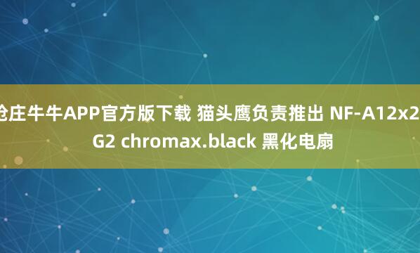 抢庄牛牛APP官方版下载 猫头鹰负责推出 NF-A12x25 G2 chromax.black 黑化电扇