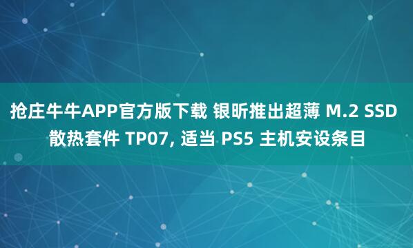 抢庄牛牛APP官方版下载 银昕推出超薄 M.2 SSD 散热套件 TP07, 适当 PS5 主机安设条目