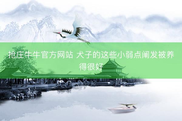抢庄牛牛官方网站 犬子的这些小弱点阐发被养得很好
