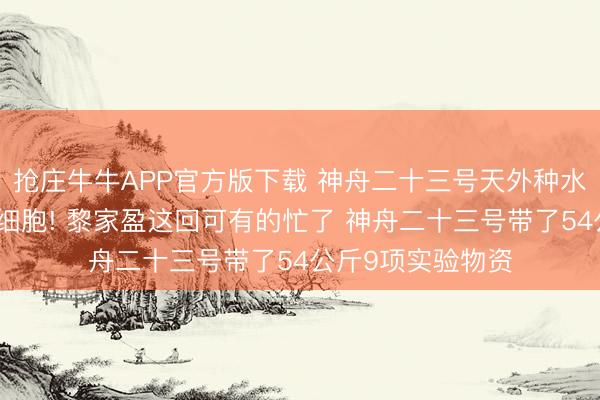 抢庄牛牛APP官方版下载 神舟二十三号天外种水稻、造电板、养细胞! 黎家盈这回可有的忙了 神舟二十三号带了54公斤9项实验物资